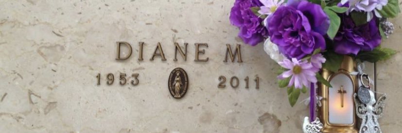 Camden Cooley banner