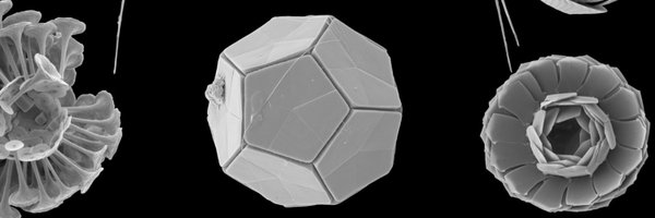 DirkTrauner Profile Banner