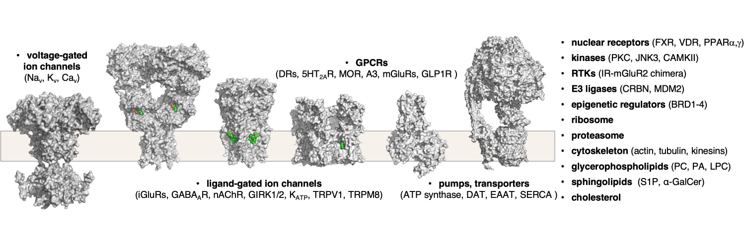 Dirk H. Trauner banner