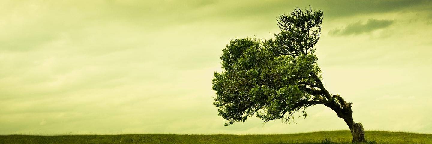 esrojce's profile banner image