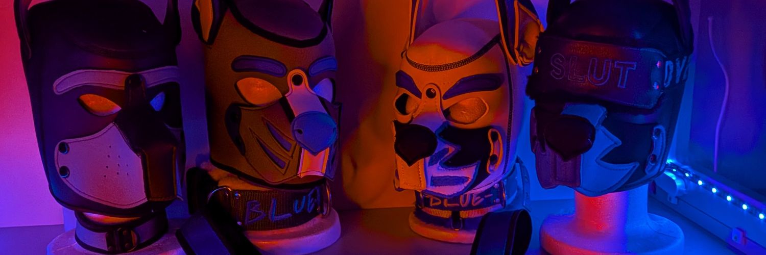 Blue Pup (@BLUEakaBLUEPUP) / Posts / X