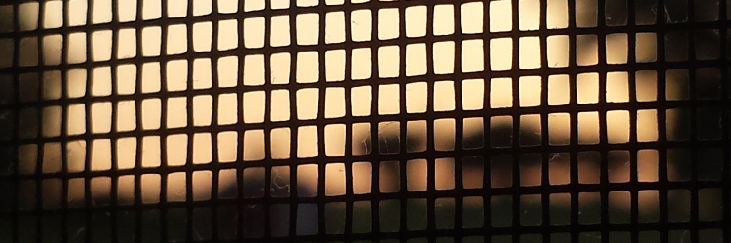 Rachel_Osza's profile banner image