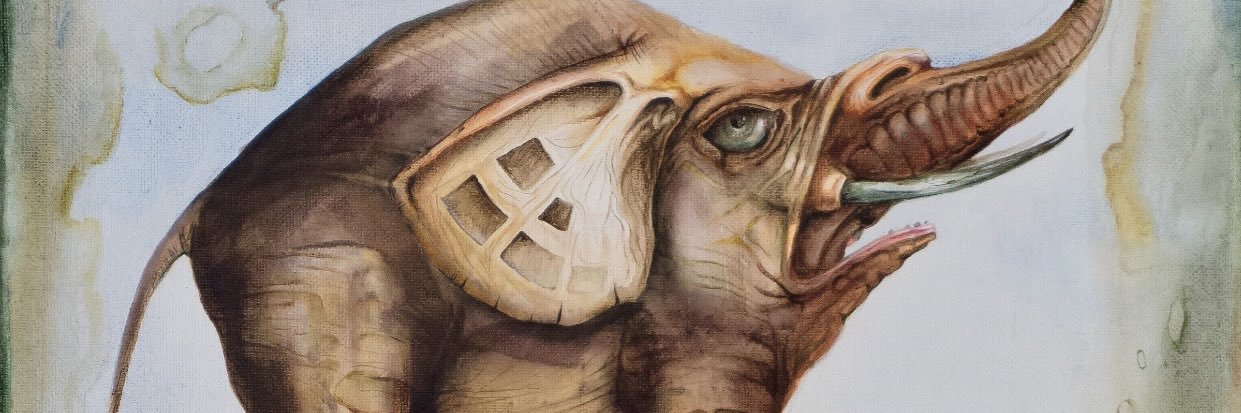 beulahelephant's profile banner image