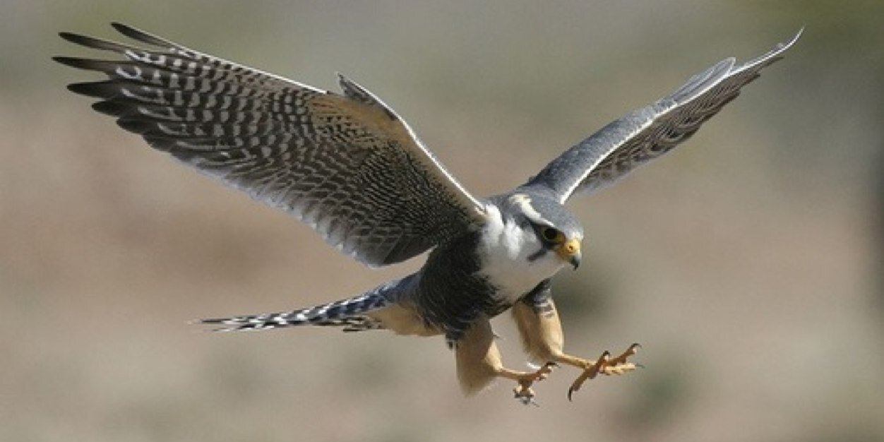 ابووسام العمري banner