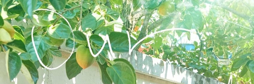 RM_ione's profile banner image