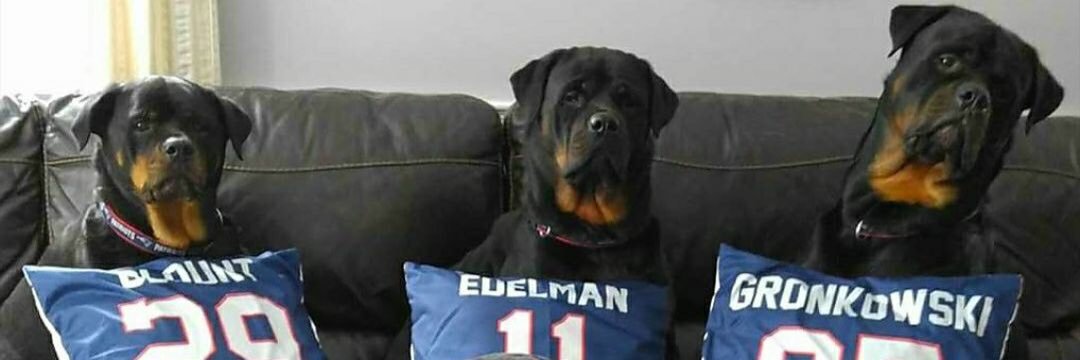 RSpatsfan's profile banner image