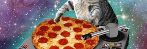 twatterdemic's profile banner image