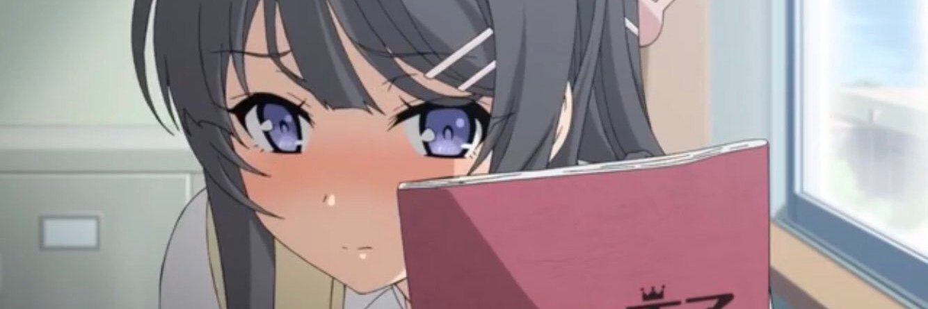 averagepon's profile banner image