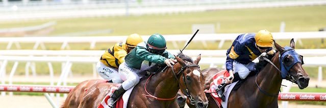 L E W I S   G E R M A N banner