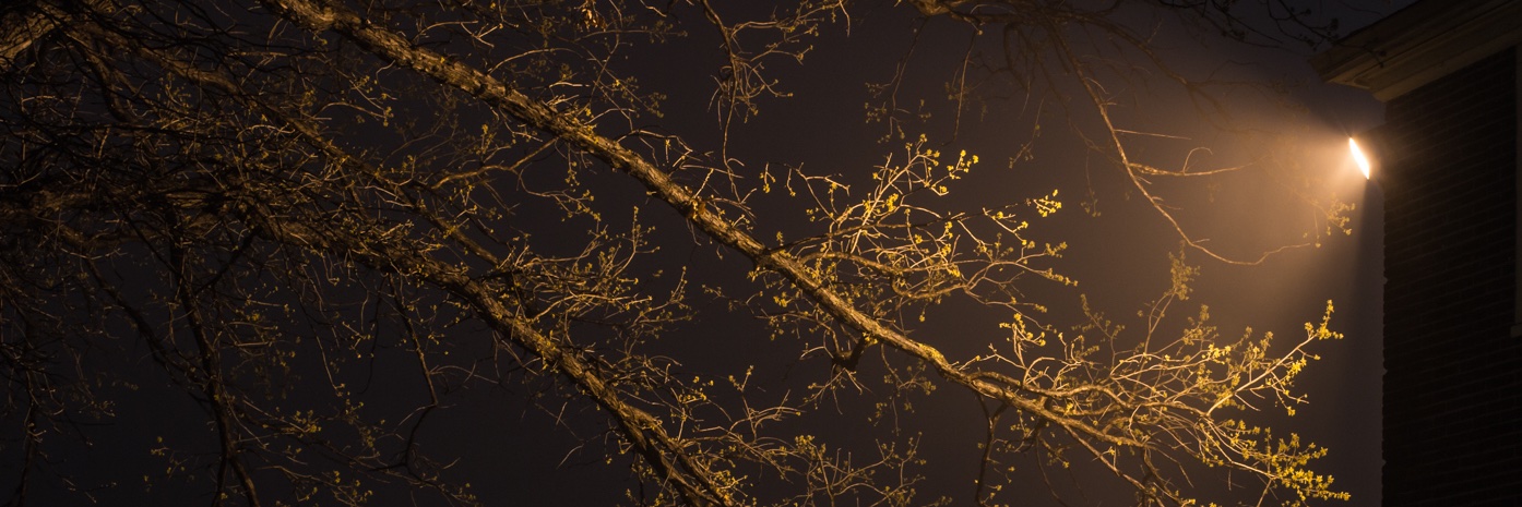 Googahgee's profile banner image