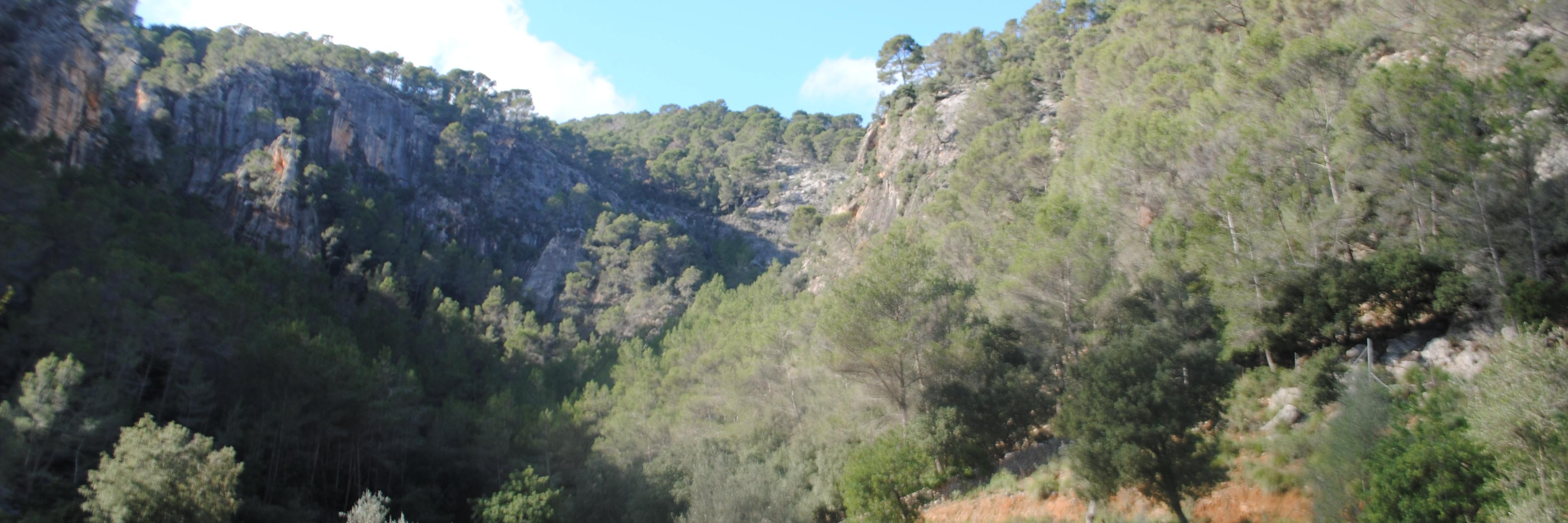 MateuMorro's profile banner image