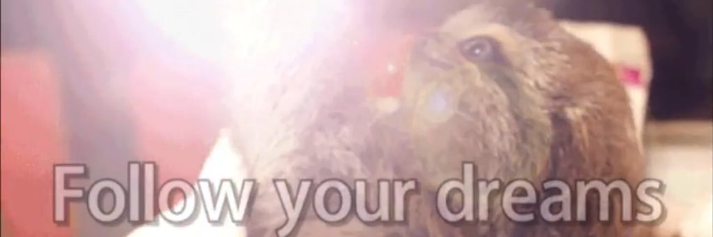 PuMMMpkin Pie banner