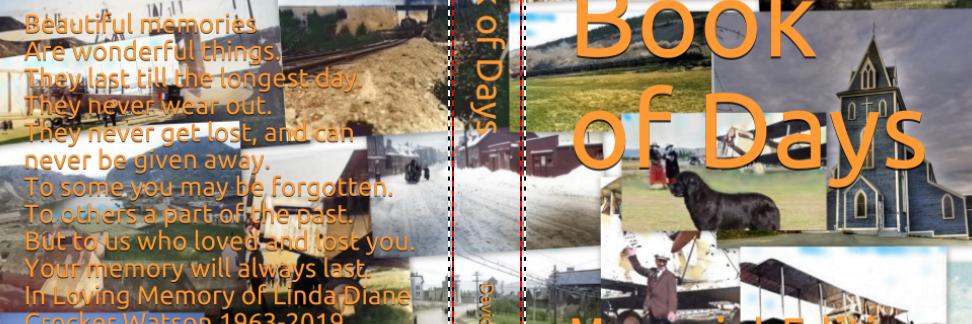 davideo_david's profile banner image