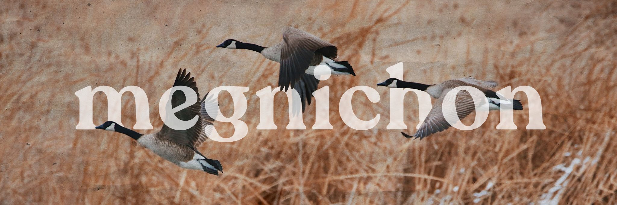 megnichon's profile banner image