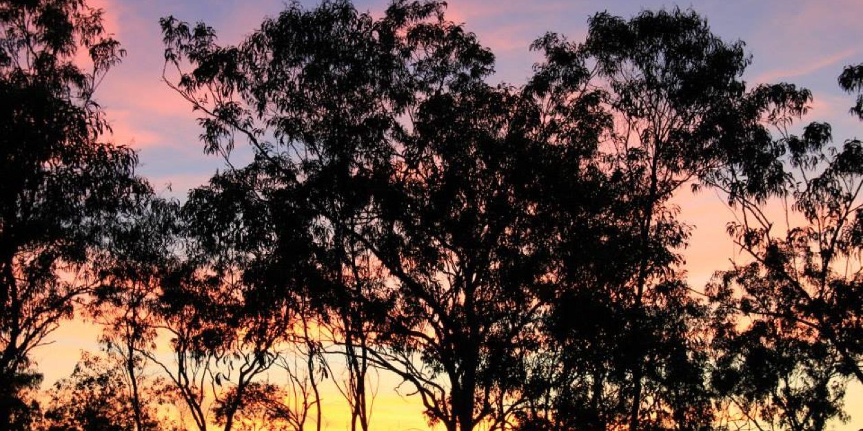 iainmchenry's profile banner image