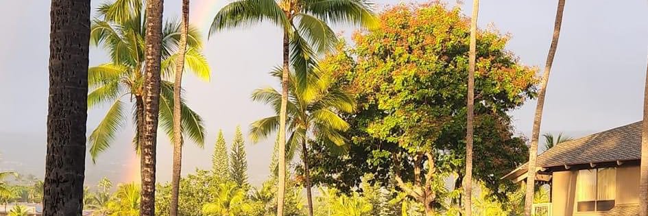 trezuresaree's profile banner image