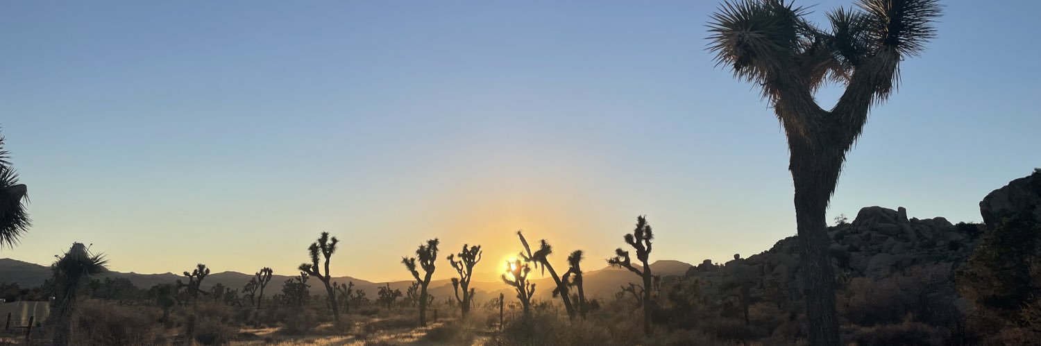 themoonchilddd's profile banner image