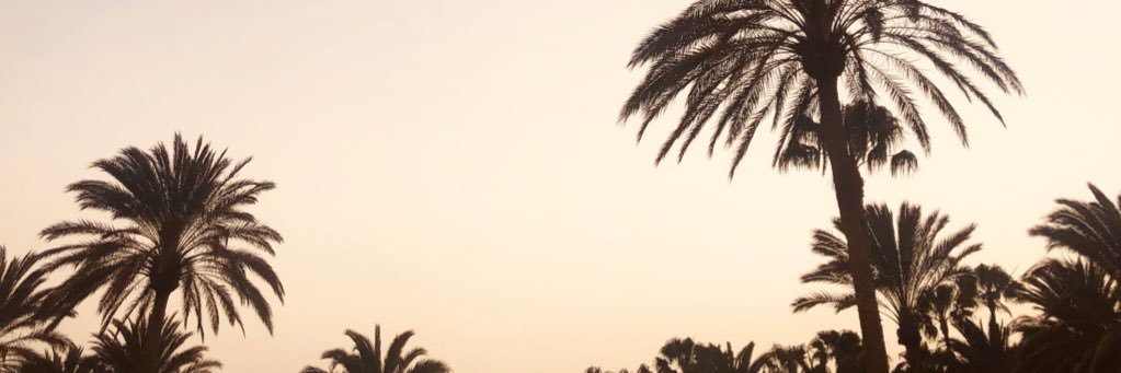 serrano_sheila's profile banner image