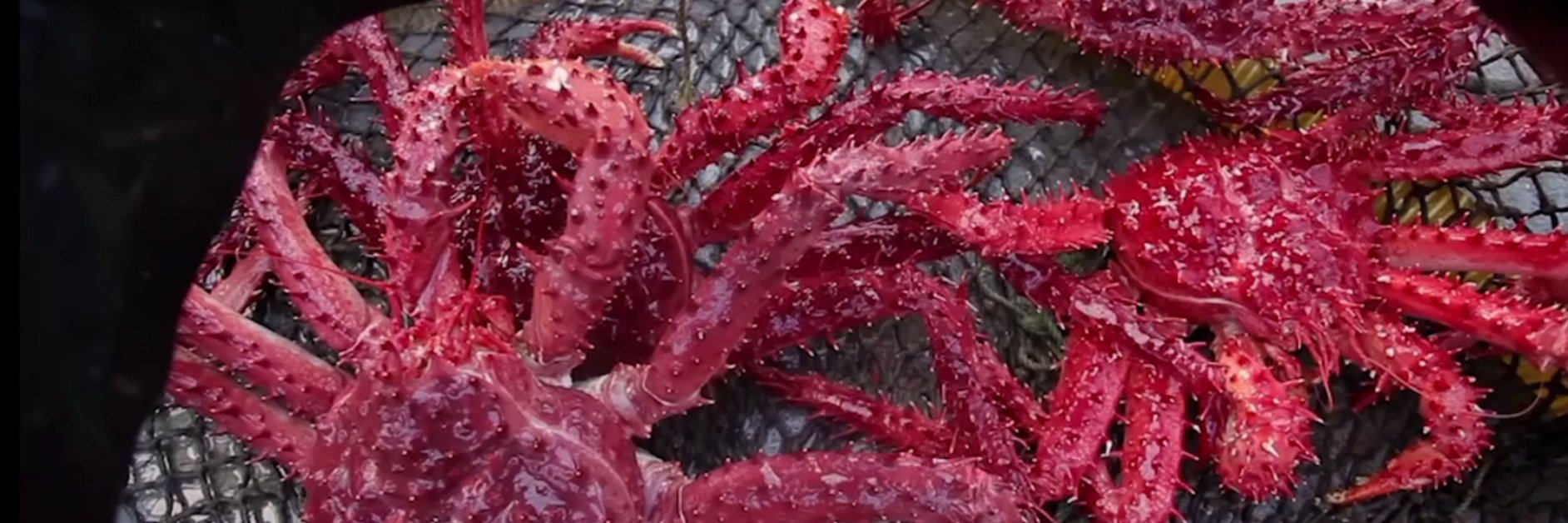 seatechcorp's profile banner image