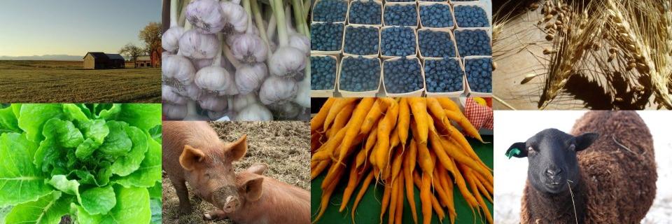 RutlandFarmFood's profile banner image