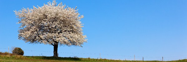 NaGraHo Profile Banner