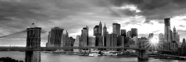 Cesar_Mald's profile banner image