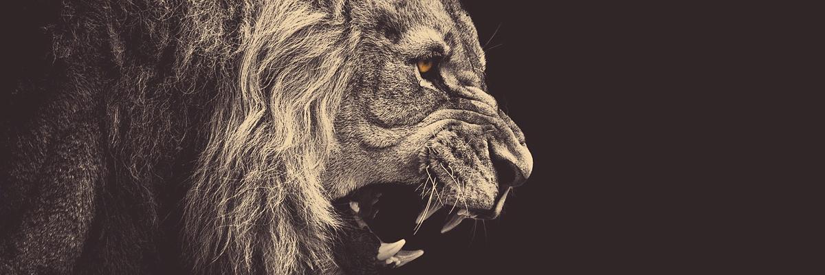 iDamnUnfeeling's profile banner image