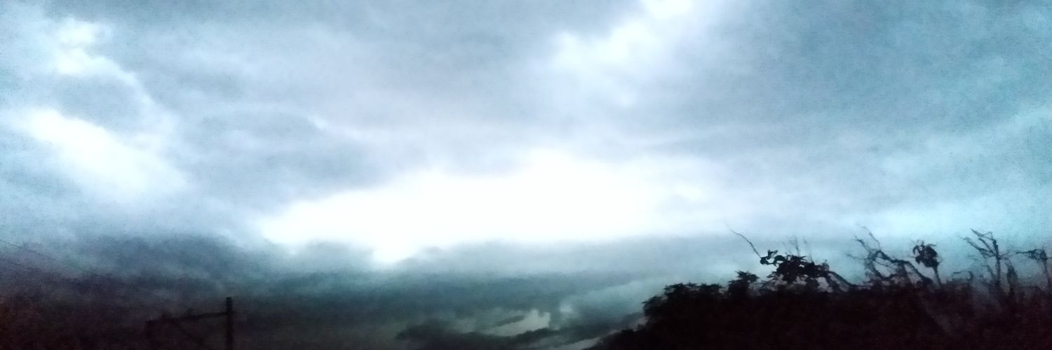 Leandro_Puello's profile banner image