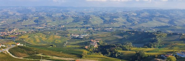 peppeatta Profile Banner