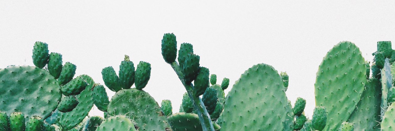 _araceliim's profile banner image
