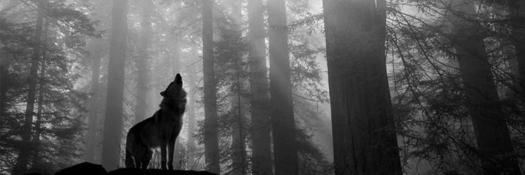 Ray_011's profile banner image