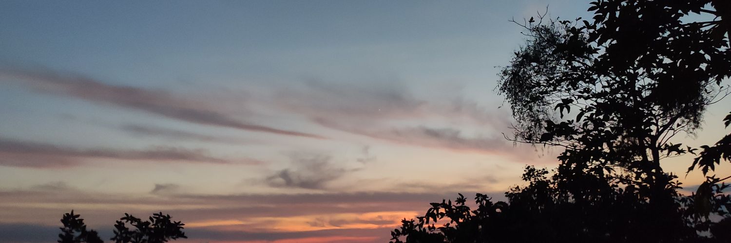 janevacre's profile banner image