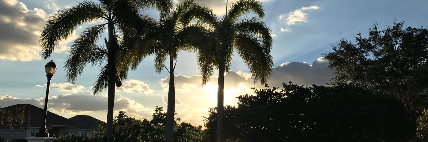 teigenp's profile banner image