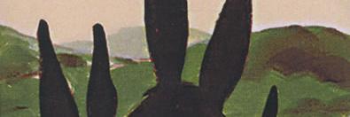 murillobds's profile banner image
