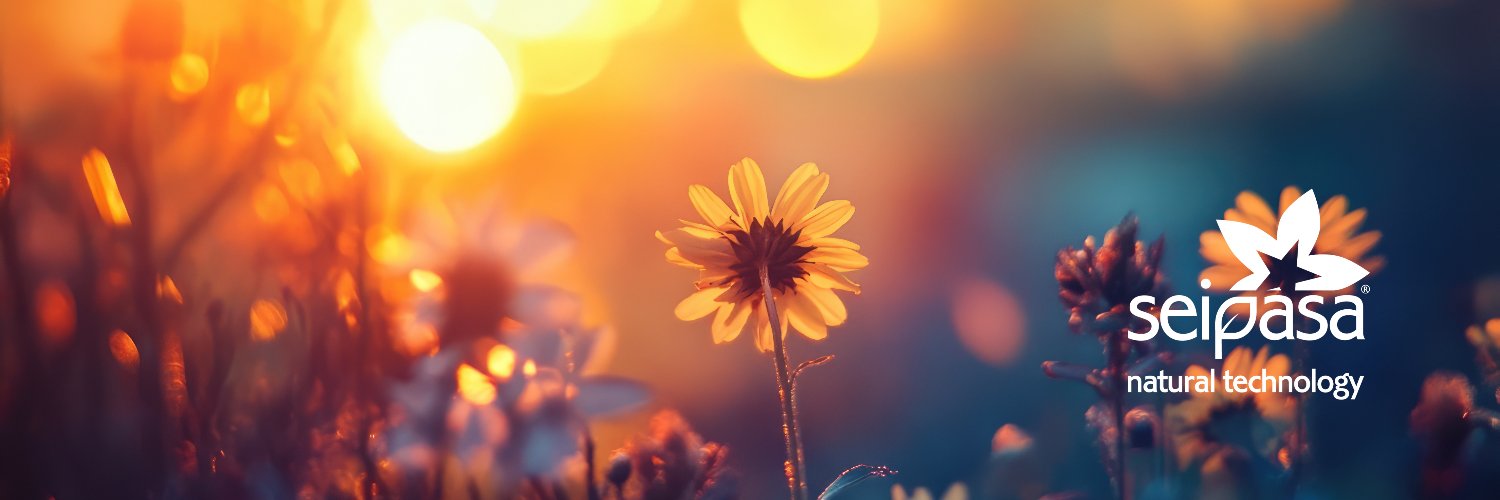 Candil_David's profile banner image