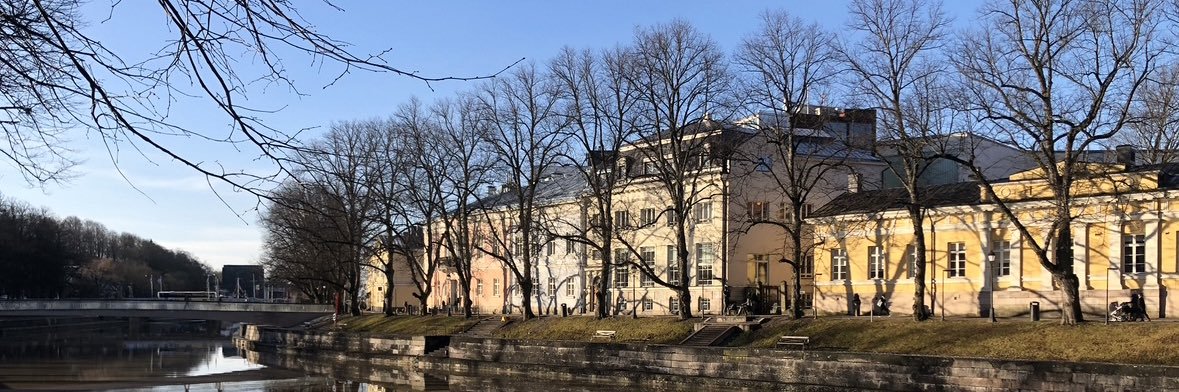 Vesa Palander banner