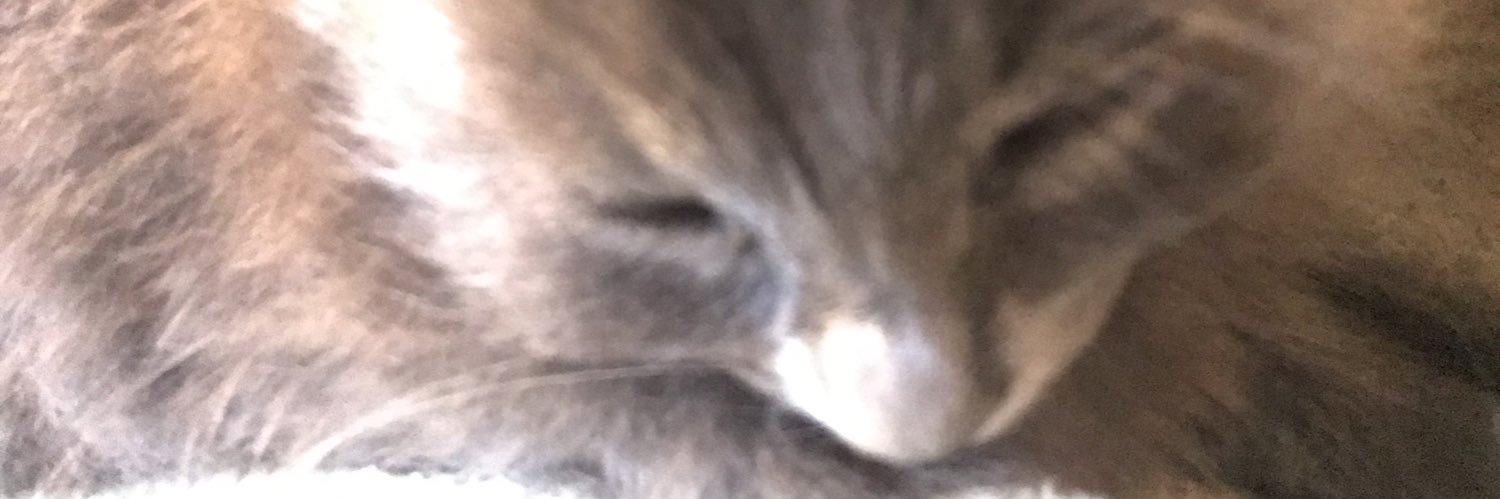 LumiFelis's profile banner image