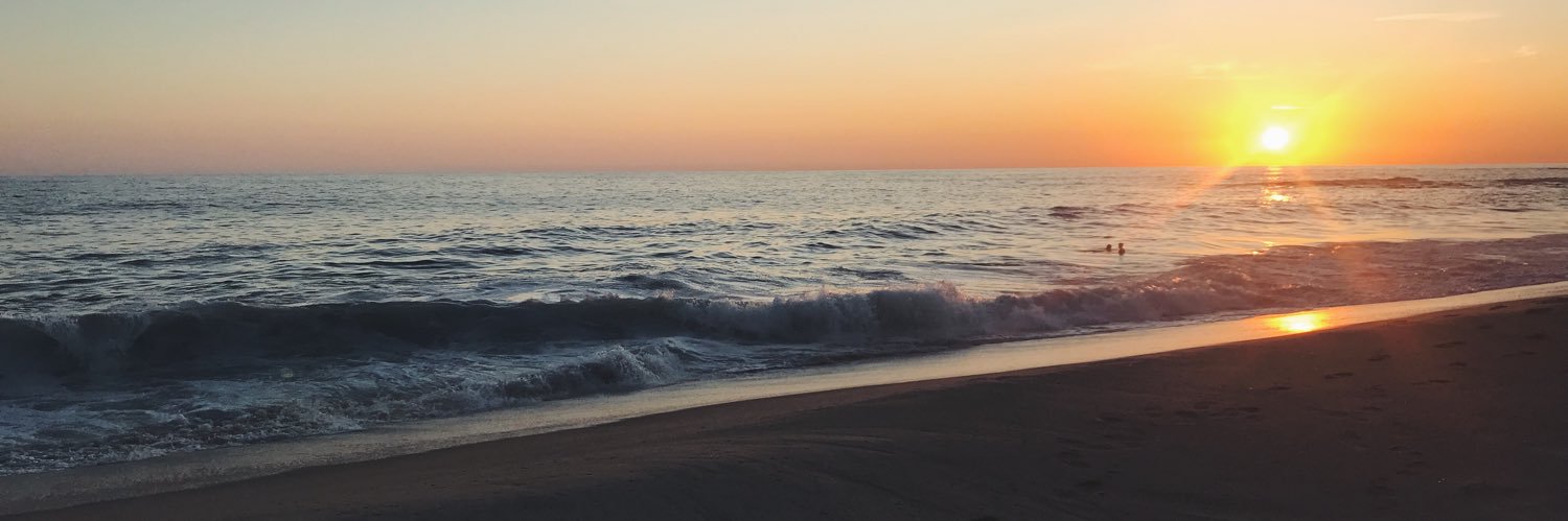 emily_fordham's profile banner image