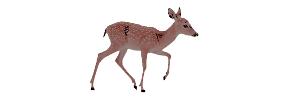 kindnesslilium Profile Banner