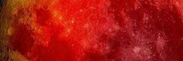 luzpontee's profile banner image