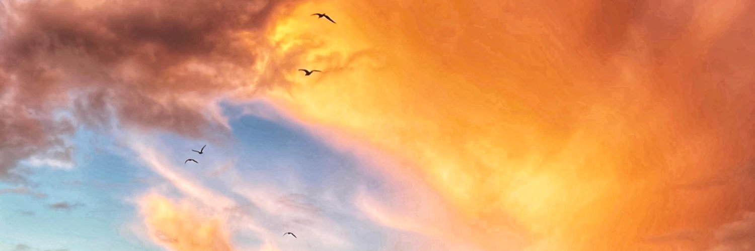 Emily Currell banner