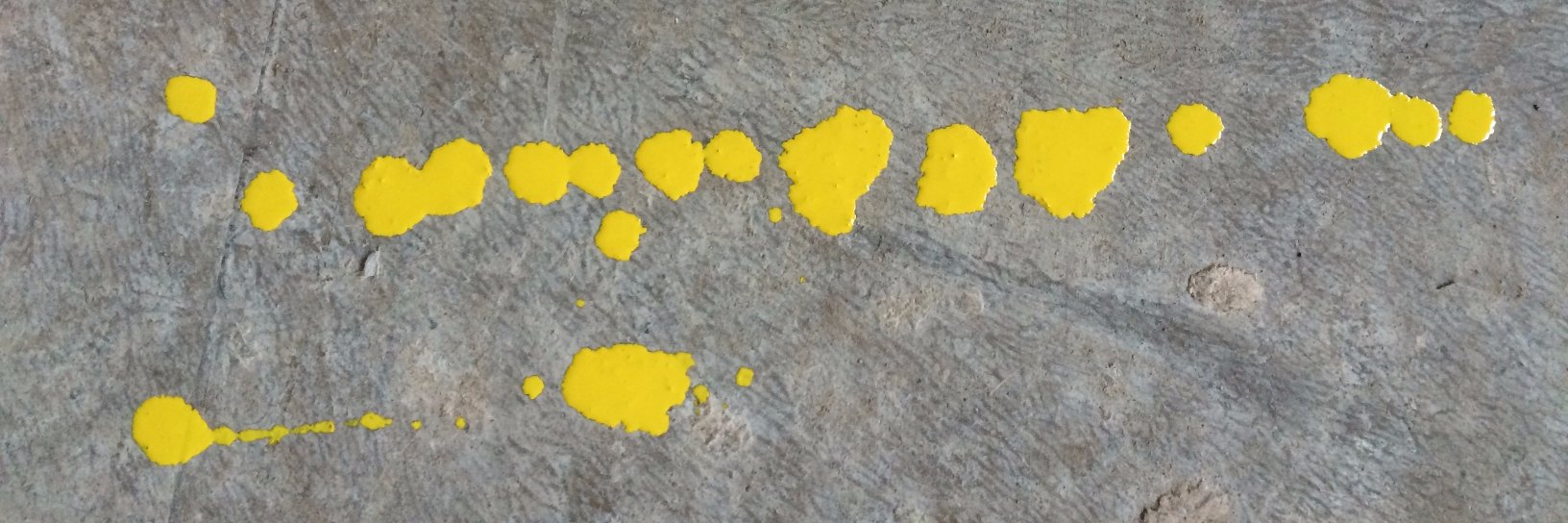 Franziska Pilling banner