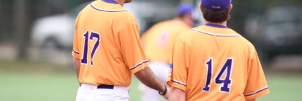 William Torrent banner