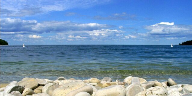 thewildamish's profile banner image