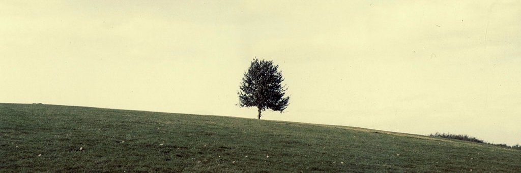 IBSobel's profile banner image