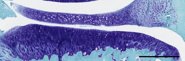 BrettCGeiger Profile Banner