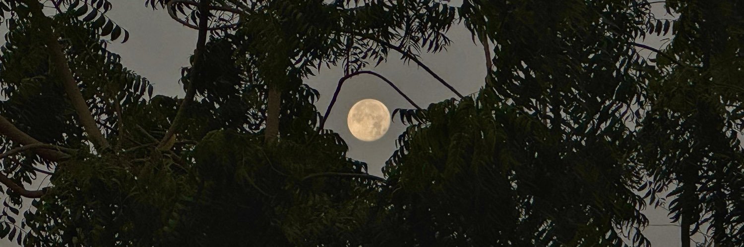 ᰔᩚ بنت أحمد banner