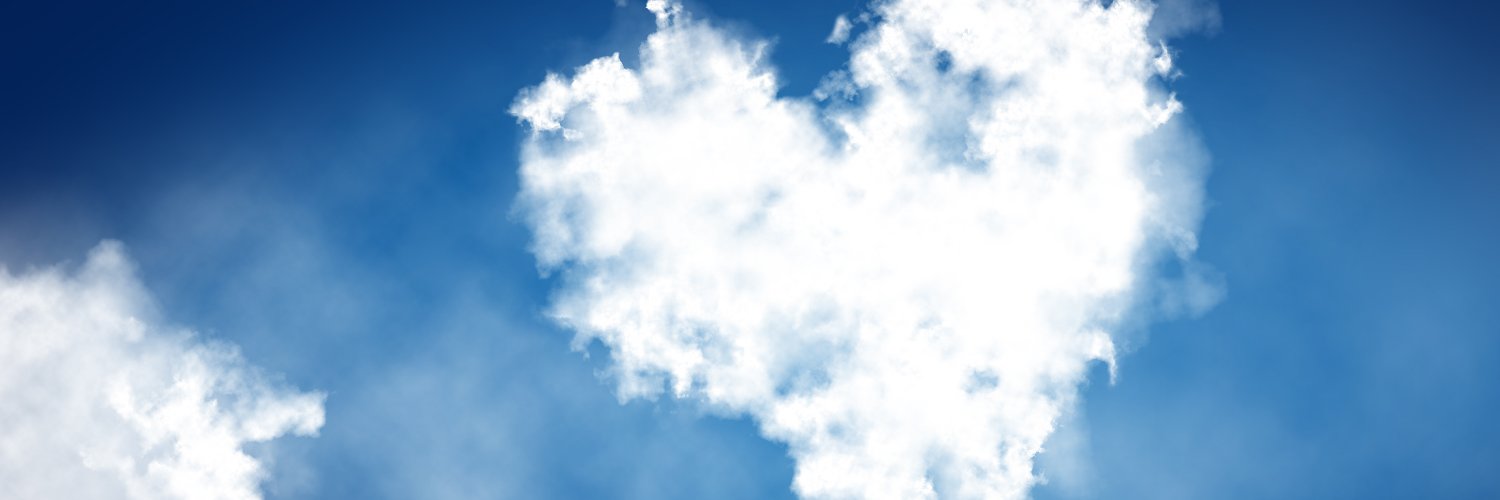 Susan_Wallach's profile banner image