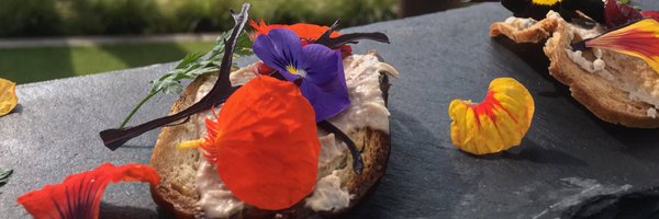 MaximiliansSA Profile Banner