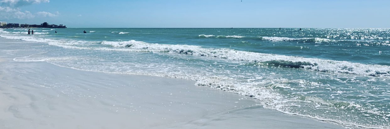 denisedamico's profile banner image